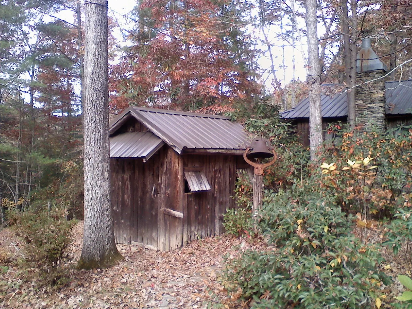 Small metal roof on a rough sawn shed in the woods in Paulina